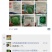 甘蓝种子质量很好，价格合理，公司经营，常年供应