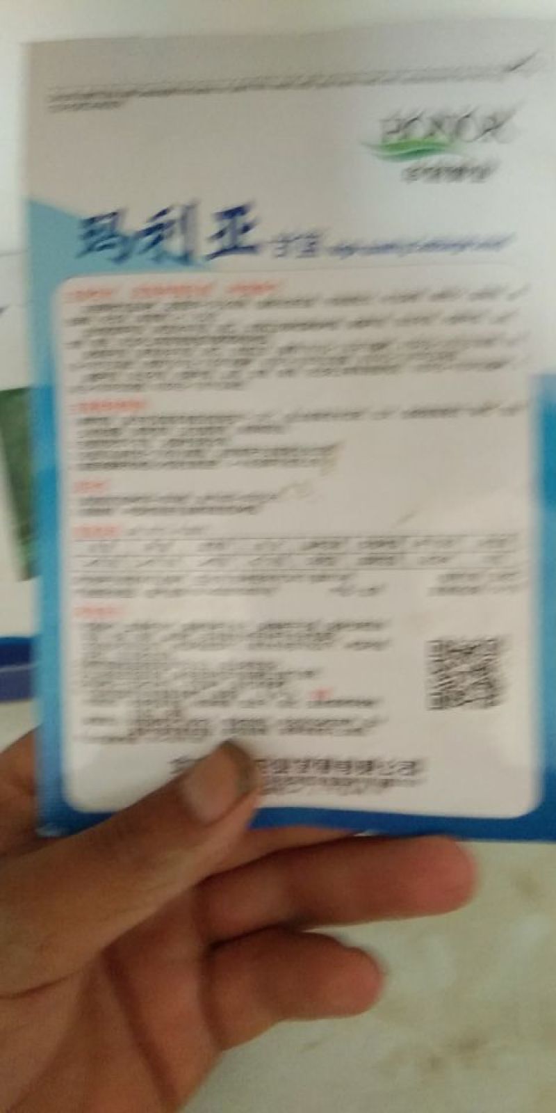 甘蓝种子质量很好，价格合理，公司经营，常年供应