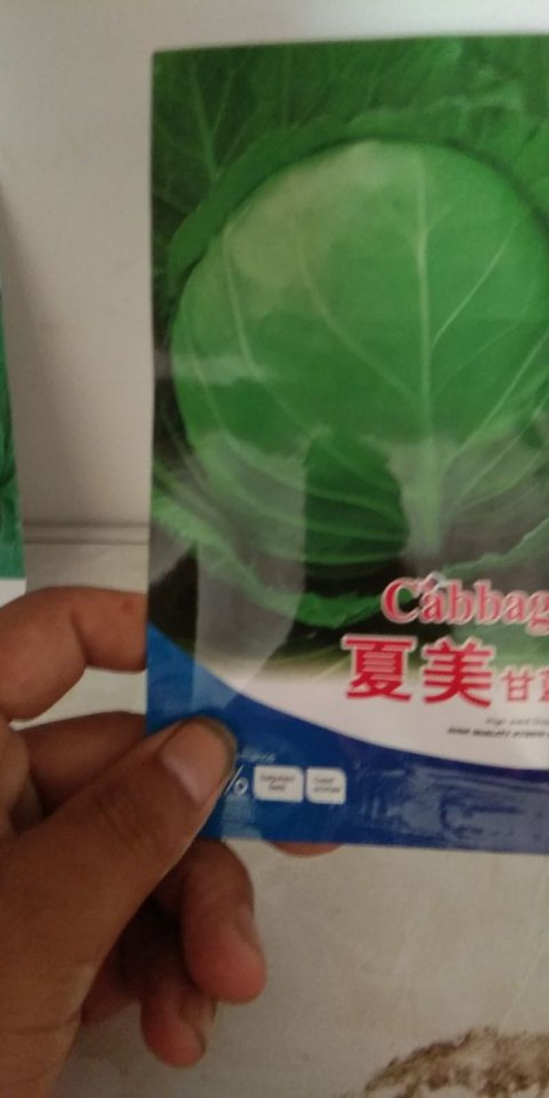 甘蓝种子质量很好，价格合理，公司经营，常年供应