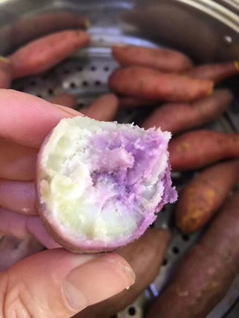 南沙一点红