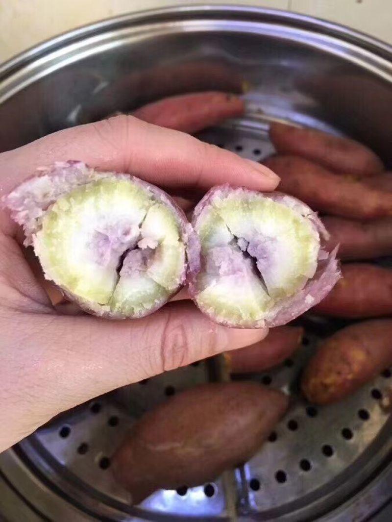 南沙一点红