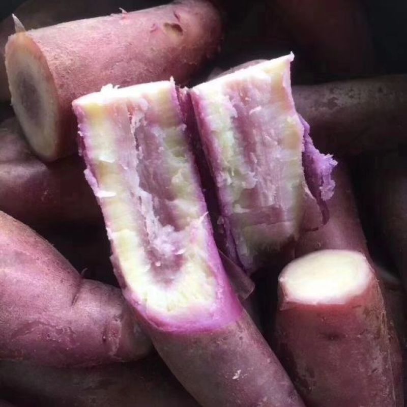 南沙一点红