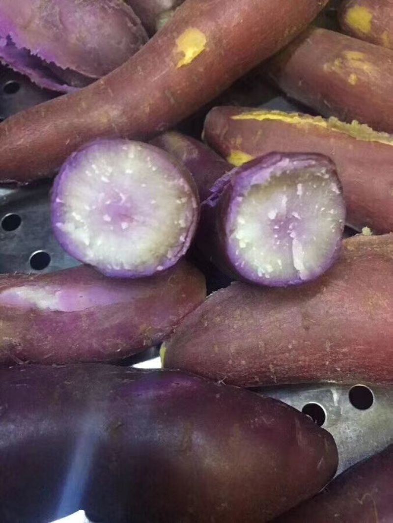 南沙一点红