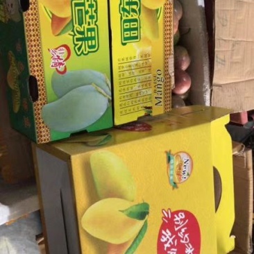 百色田东桂七芒