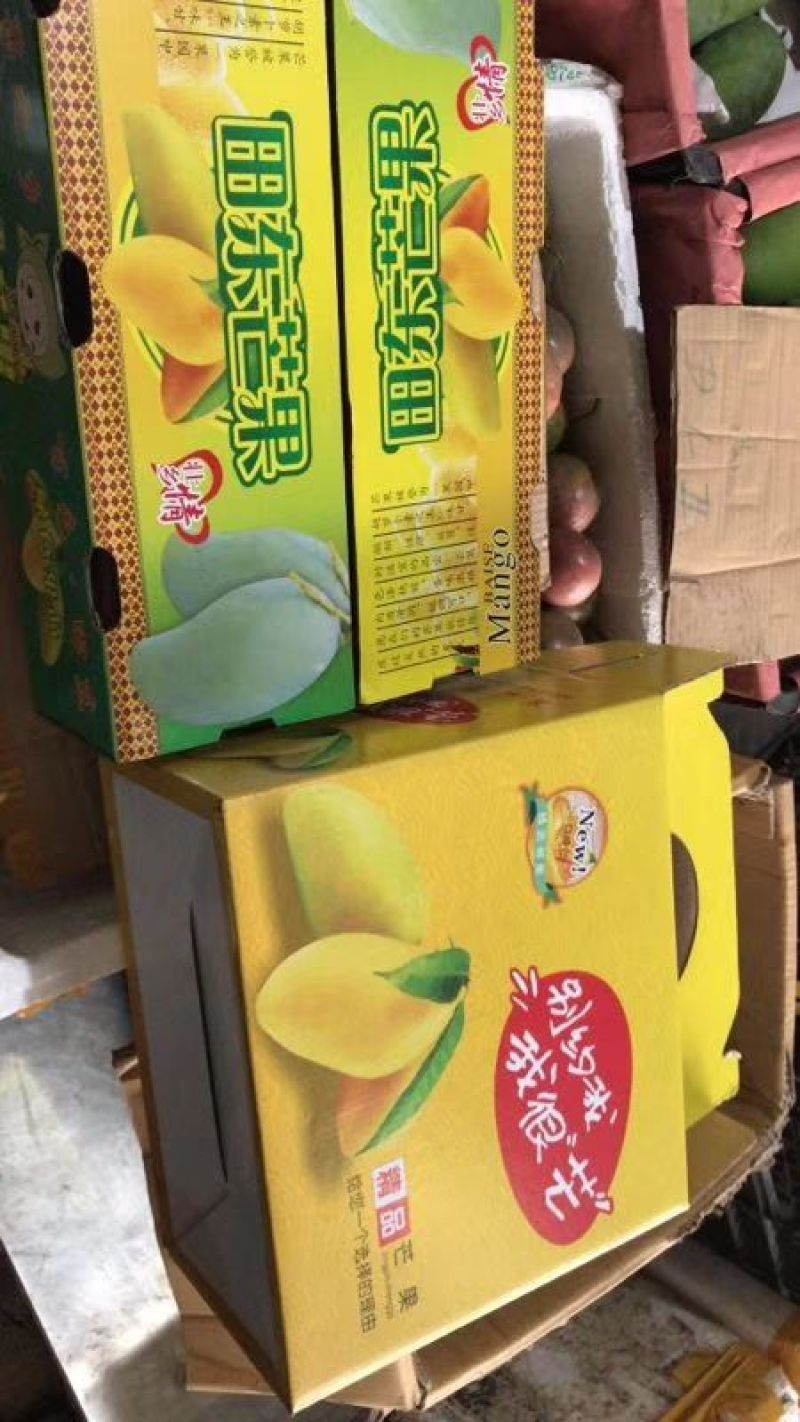 百色田东桂七芒