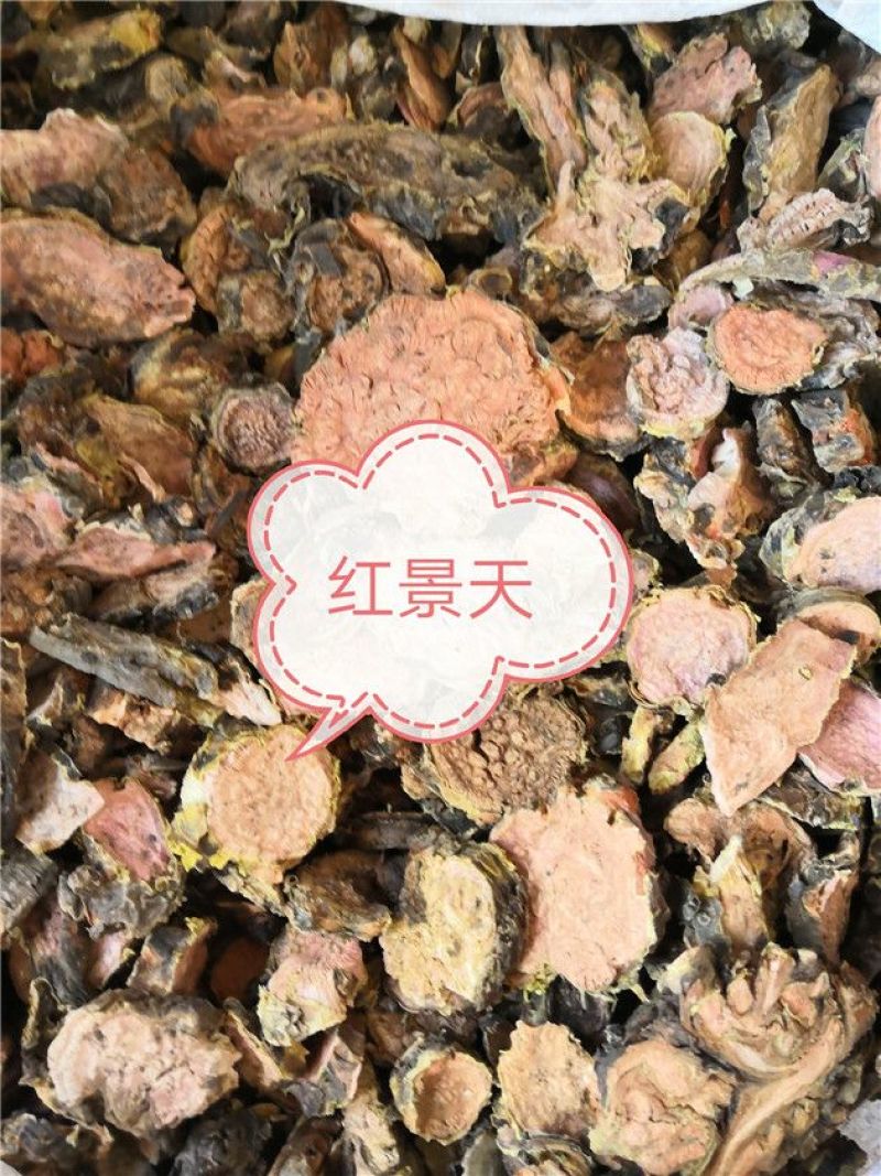 红景天