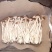 5号茶树菇（成都叫湾湾菇）口感好