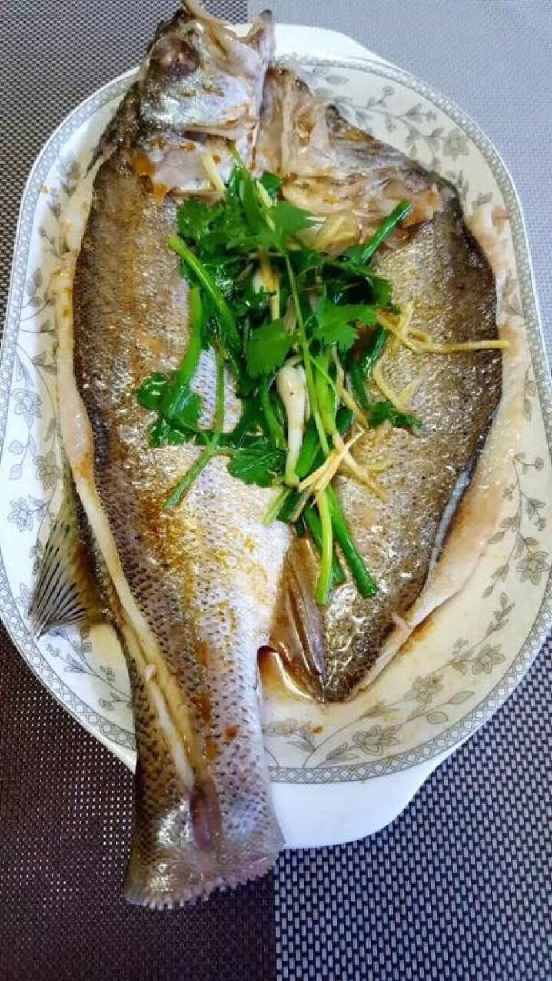 海鲈鱼