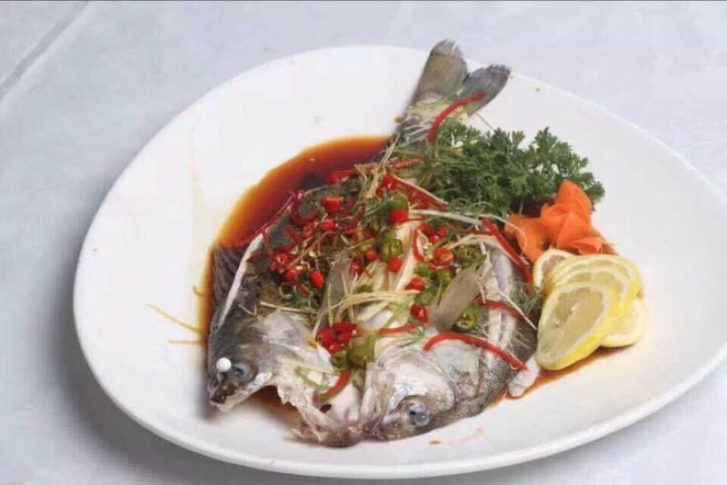 海鲈鱼