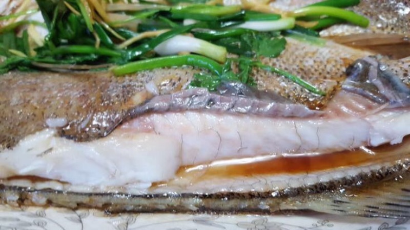 海鲈鱼