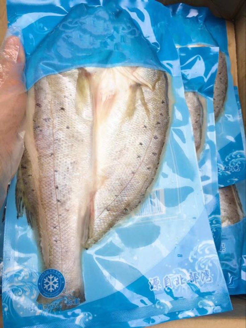 海鲈鱼