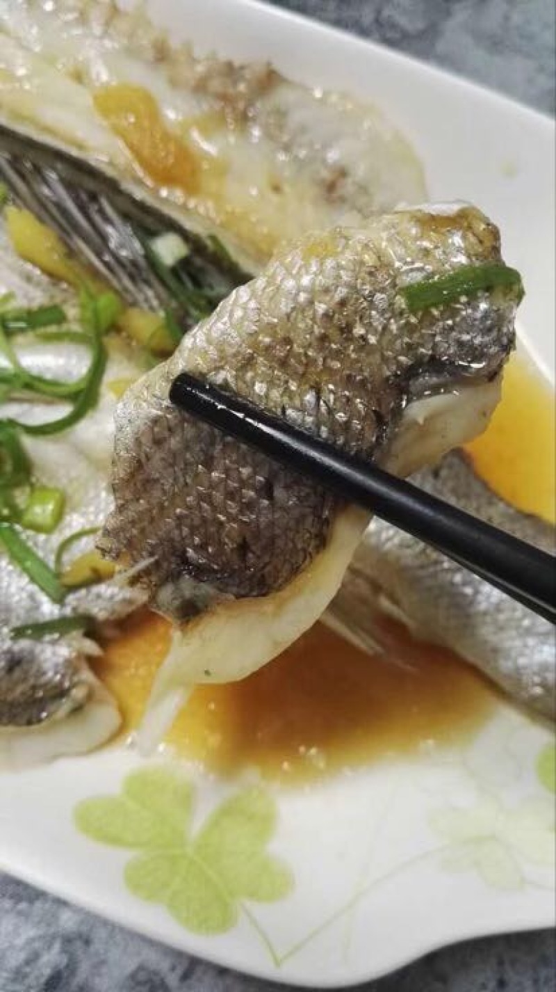海鲈鱼