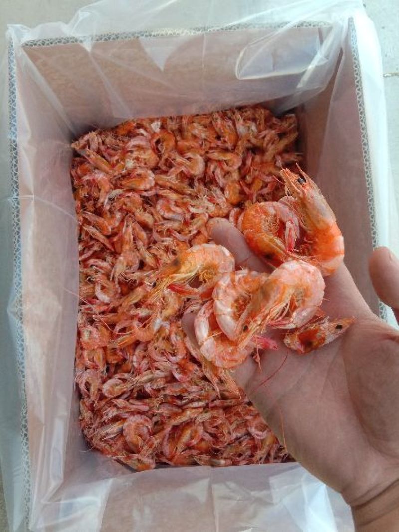 烤虾干，都是海水活虾碳烤，自家加工，保质保量，一手货源