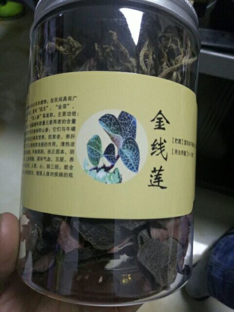 仿野生林下种植金线莲