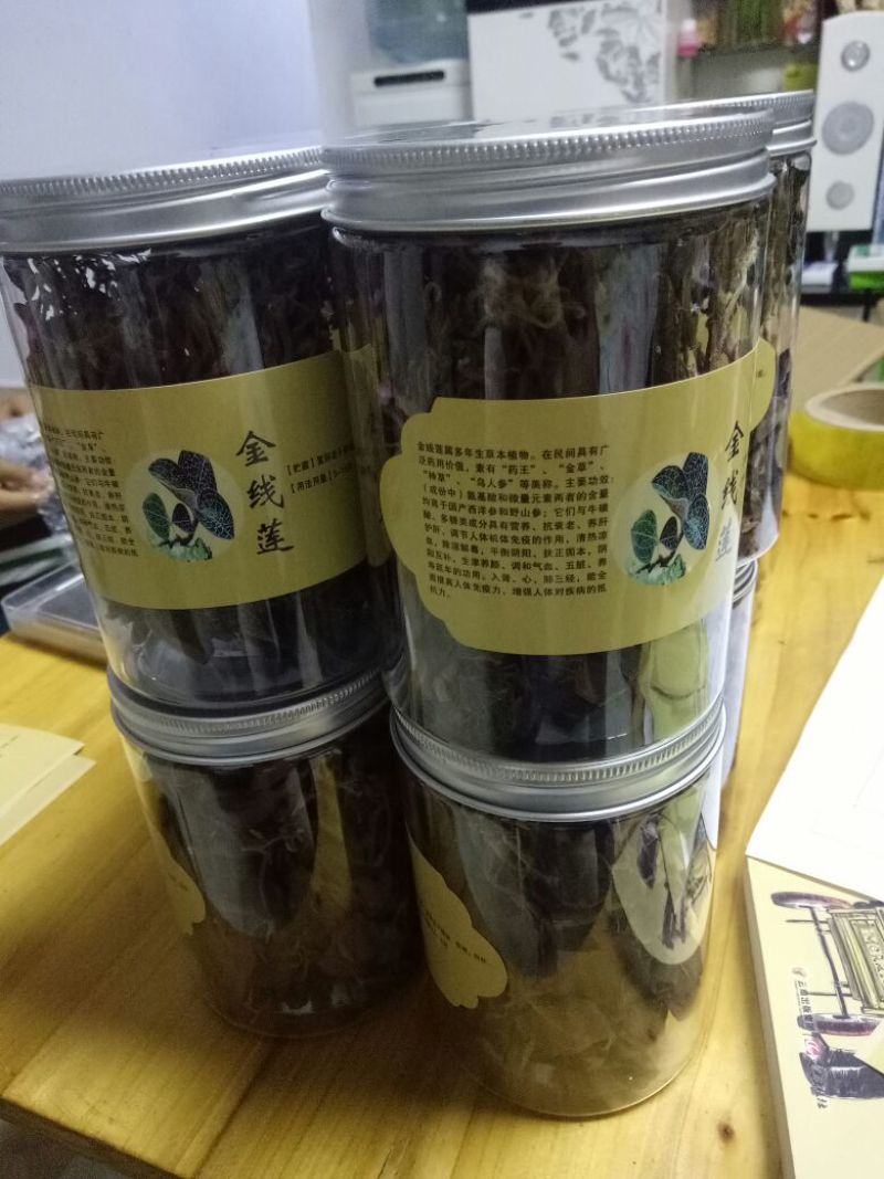 仿野生林下种植金线莲