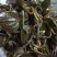 仿野生林下种植金线莲