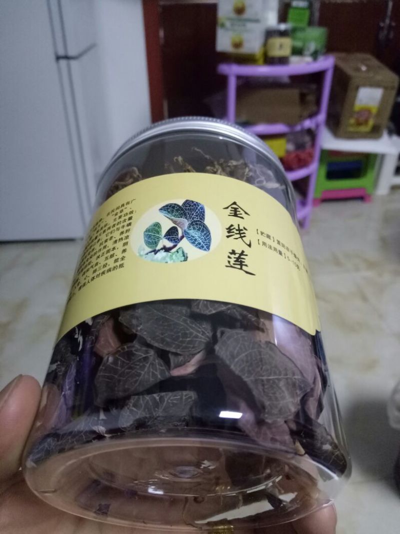 仿野生林下种植金线莲