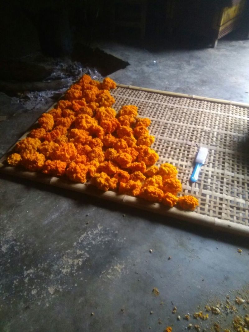 金耳，质量棒棒哒，
