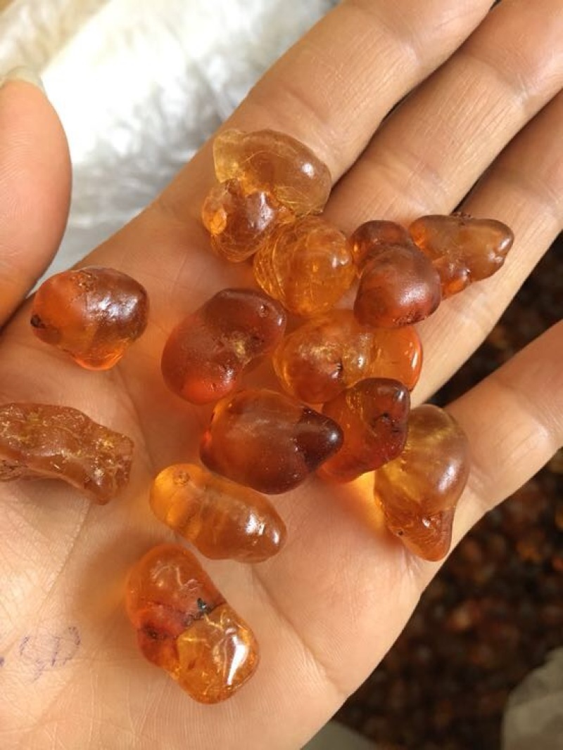 桃胶散装桃花泪水磨精品桃胶