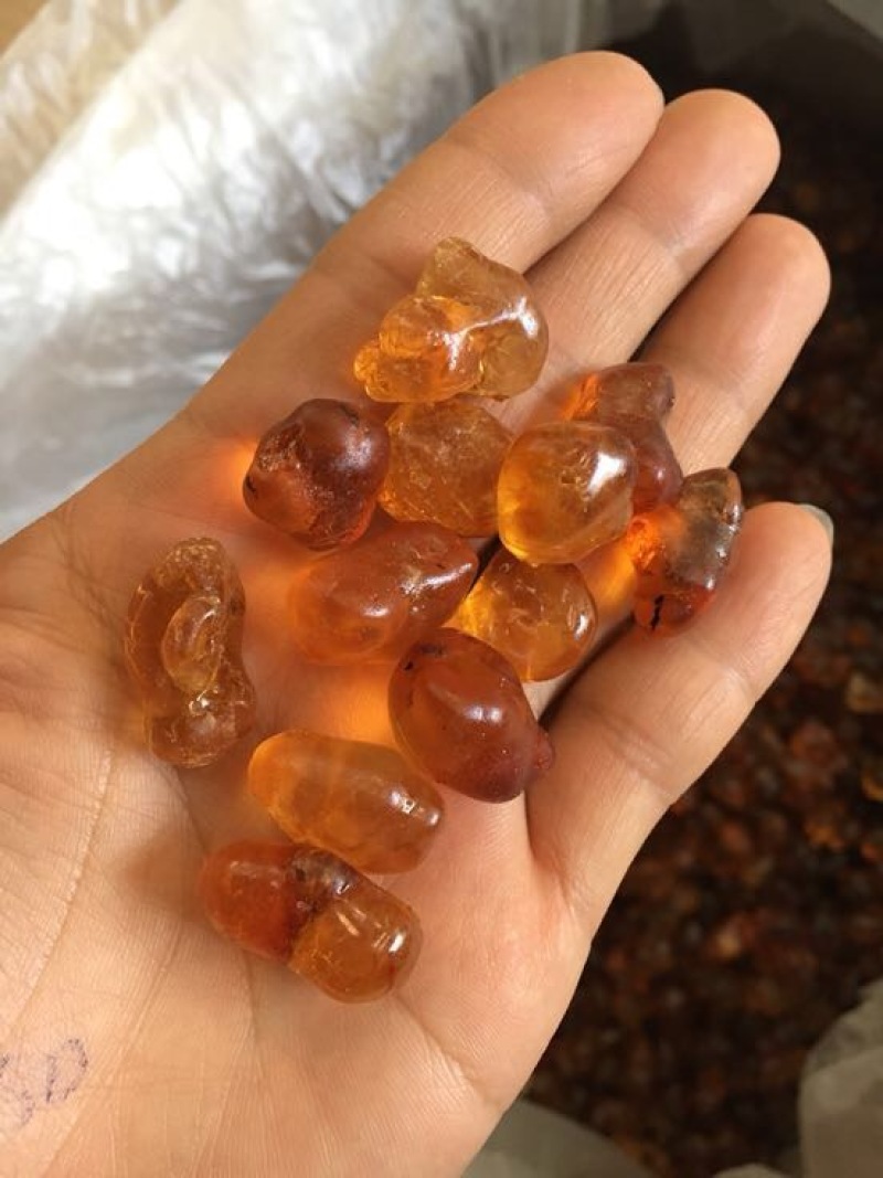 桃胶散装桃花泪水磨精品桃胶