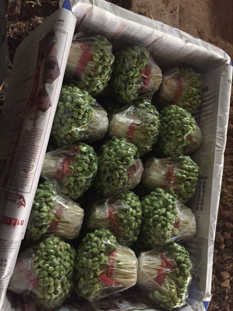 豆瓣菜绿色食品