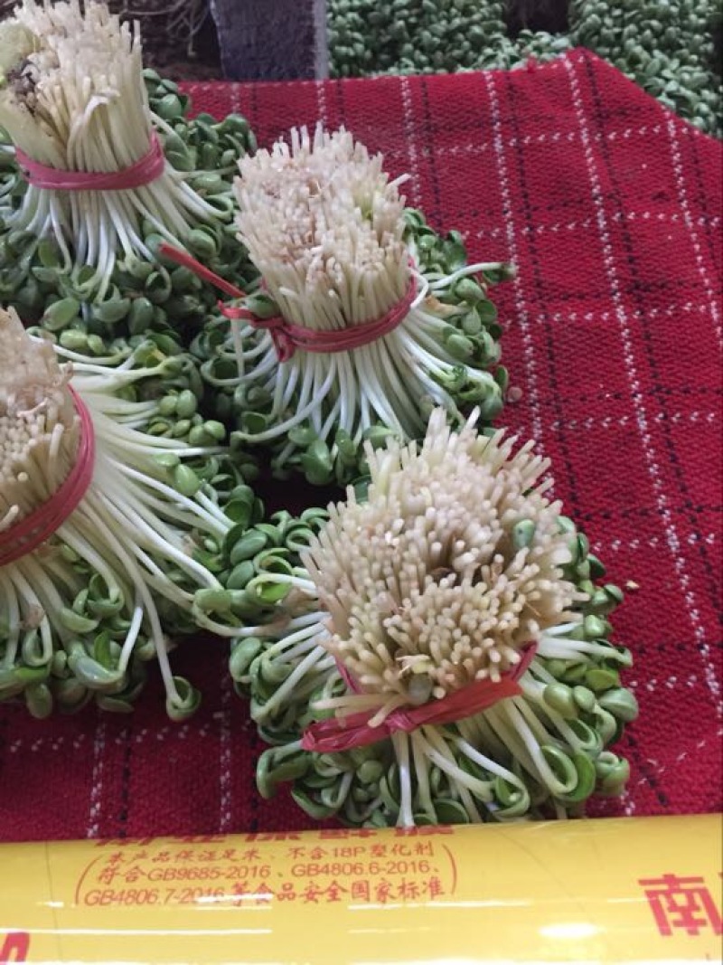 豆瓣菜绿色食品