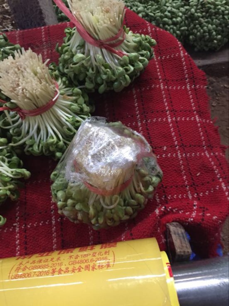 豆芽包装10~15cm