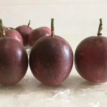 百香果，中大