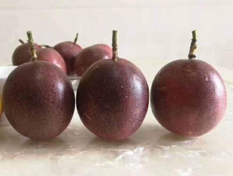 百香果，中大
