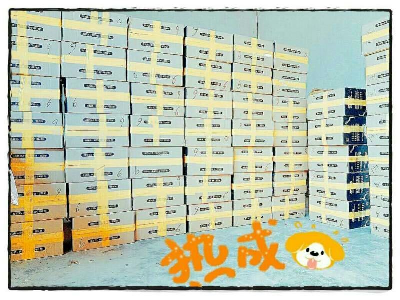民勤县甜瓜蜜瓜（金红宝，银帝，西州密，南瓜）支持一件代发