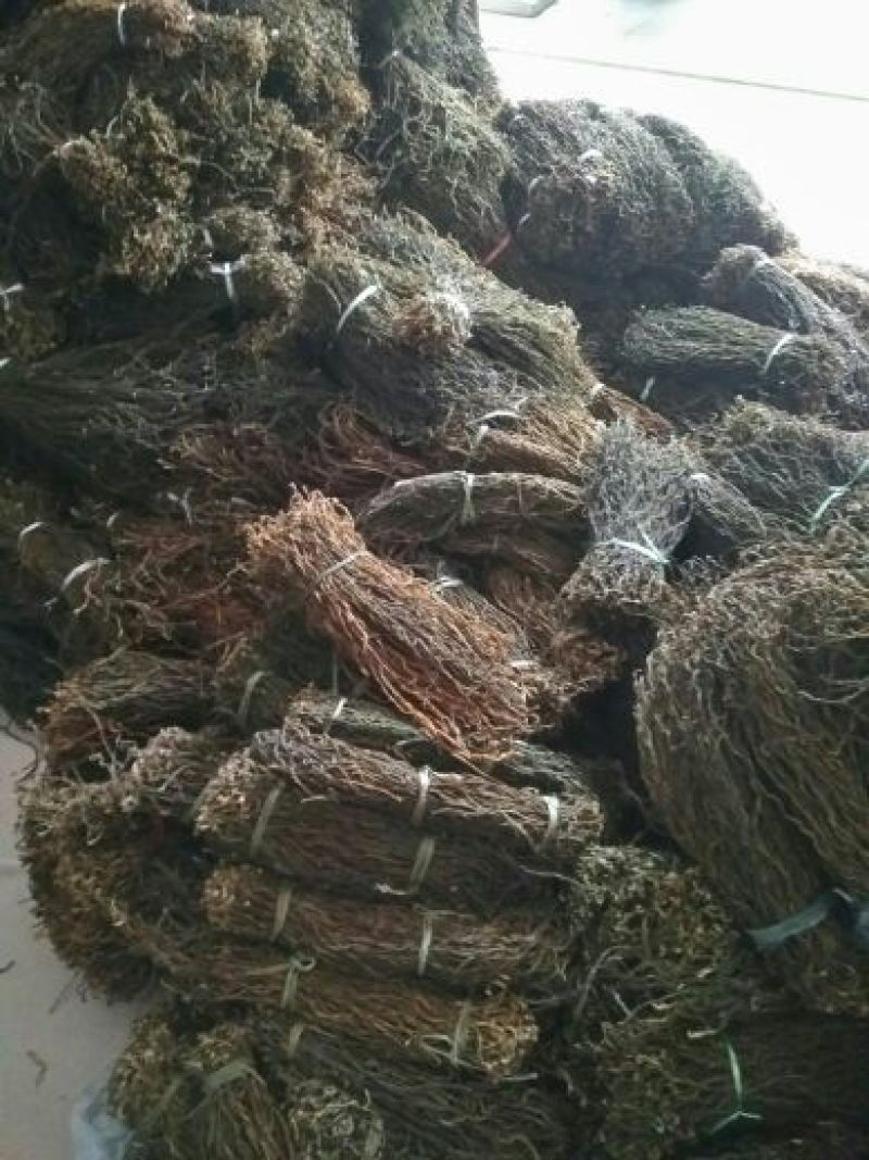 精品干豇豆货源充足，量大从优，诚招天下客户