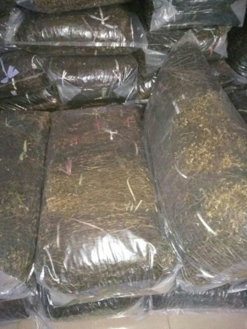 精品干豇豆货源充足，量大从优，诚招天下客户