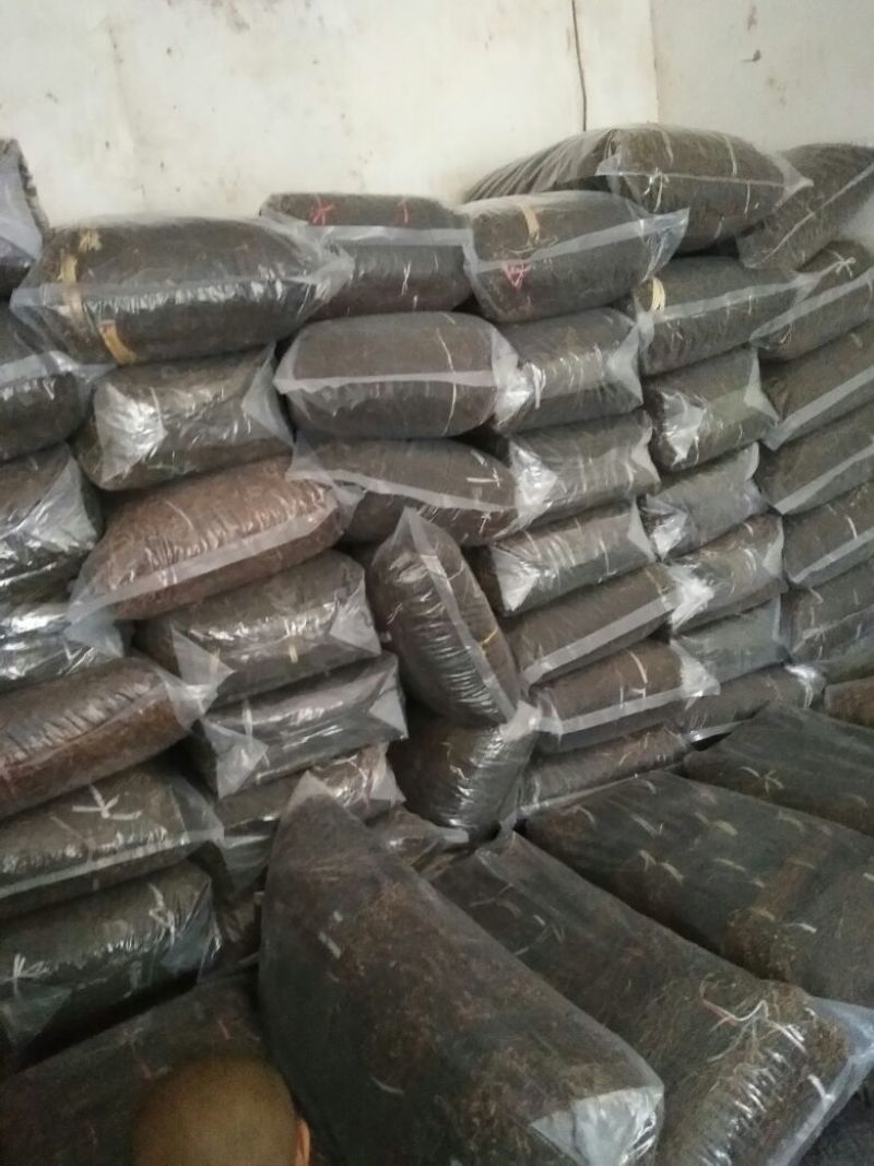 精品干豇豆货源充足，量大从优，诚招天下客户
