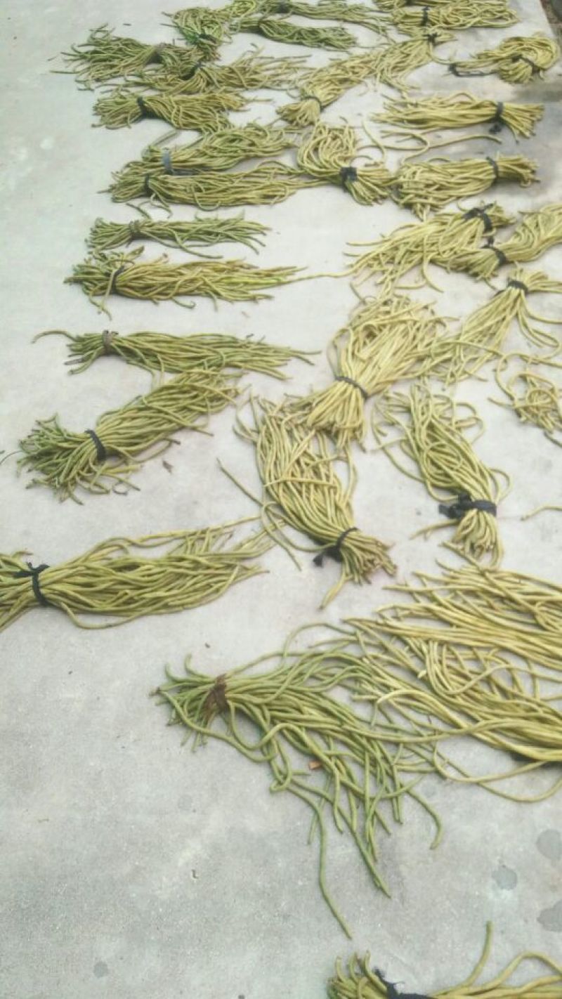 精品干豇豆货源充足，量大从优，诚招天下客户