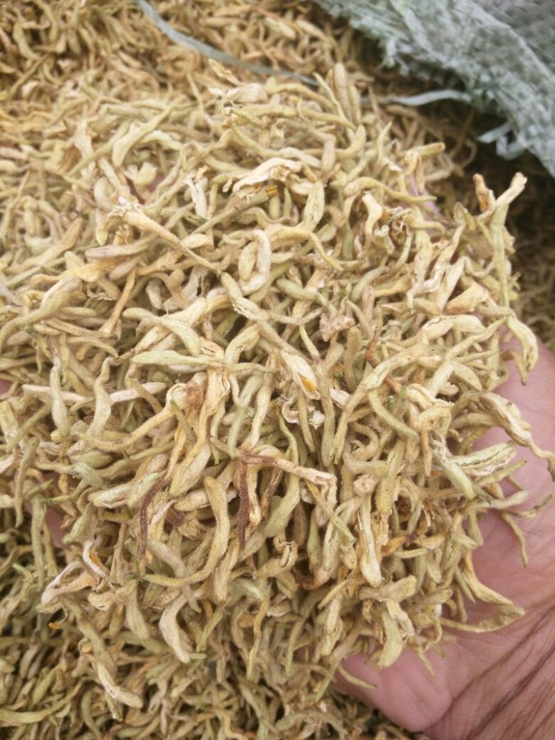 金银花货干