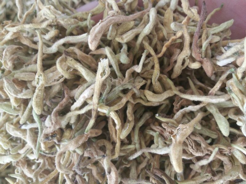 金银花货干