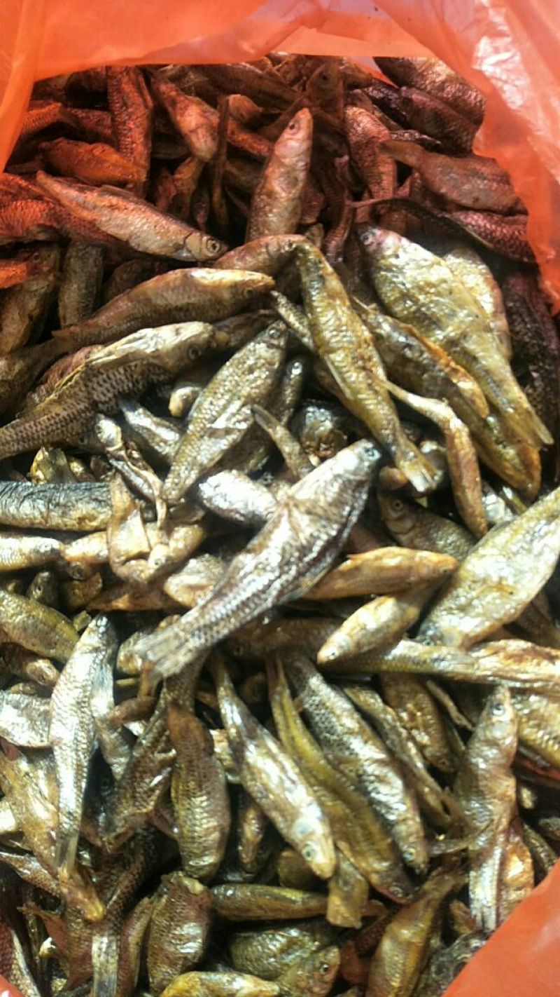 刺嘴鱼干，少量有货