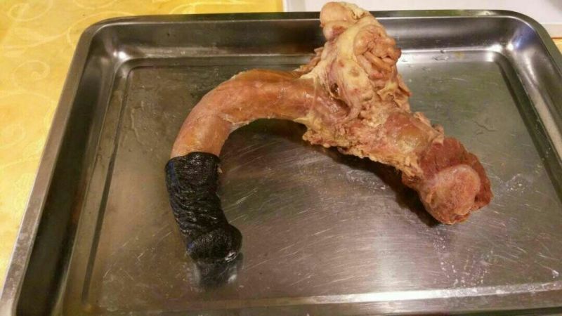 驴肉，驴鞭，驴盘肠