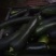 精品小南瓜