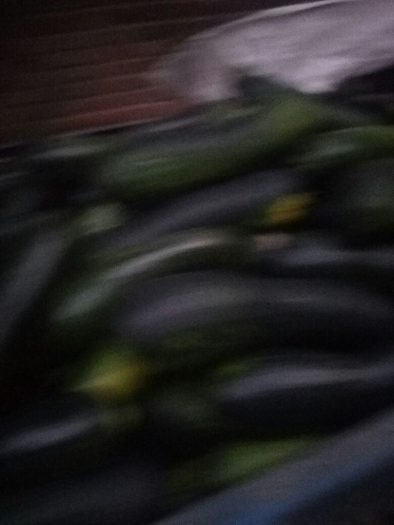 精品小南瓜