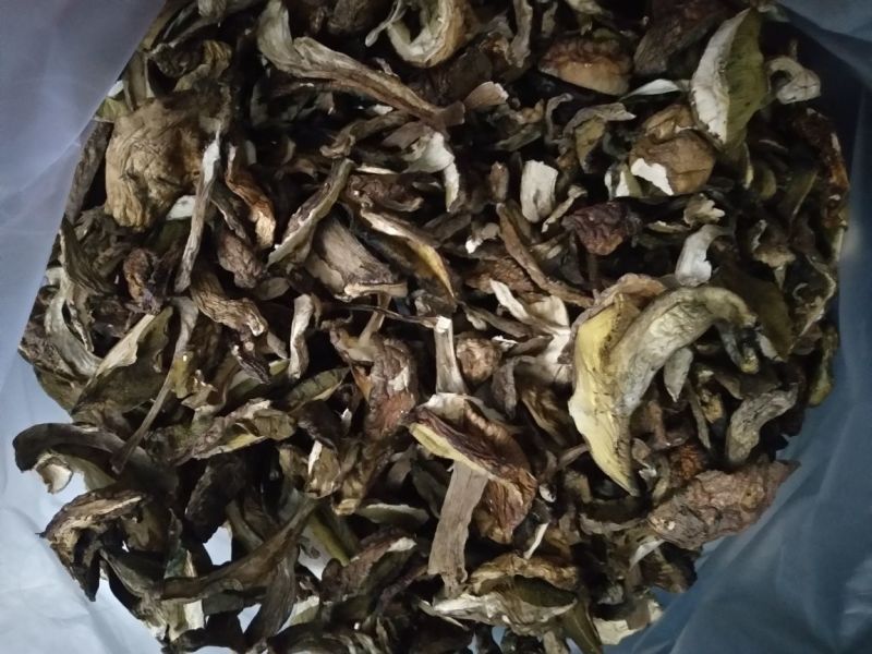 牛肝菌（美味），按菌的大小、菌伞的开放程度进行切片加工。