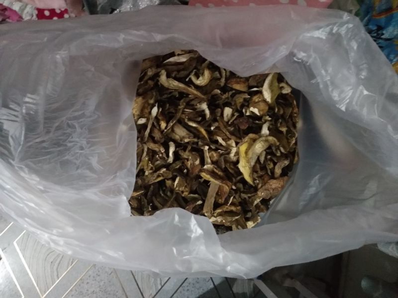 牛肝菌（美味），按菌的大小、菌伞的开放程度进行切片加工。