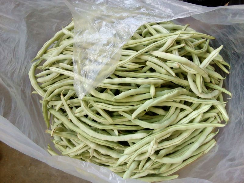 架豆王