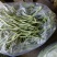 架豆王