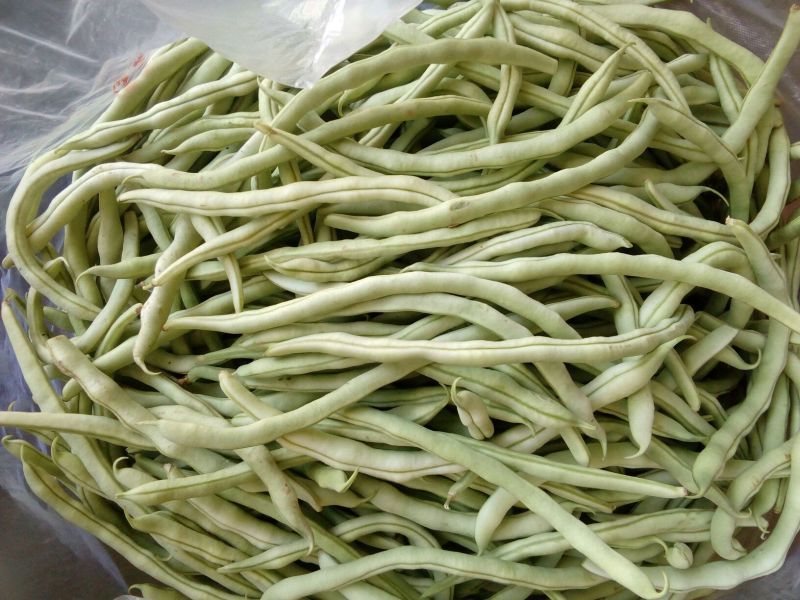 架豆王