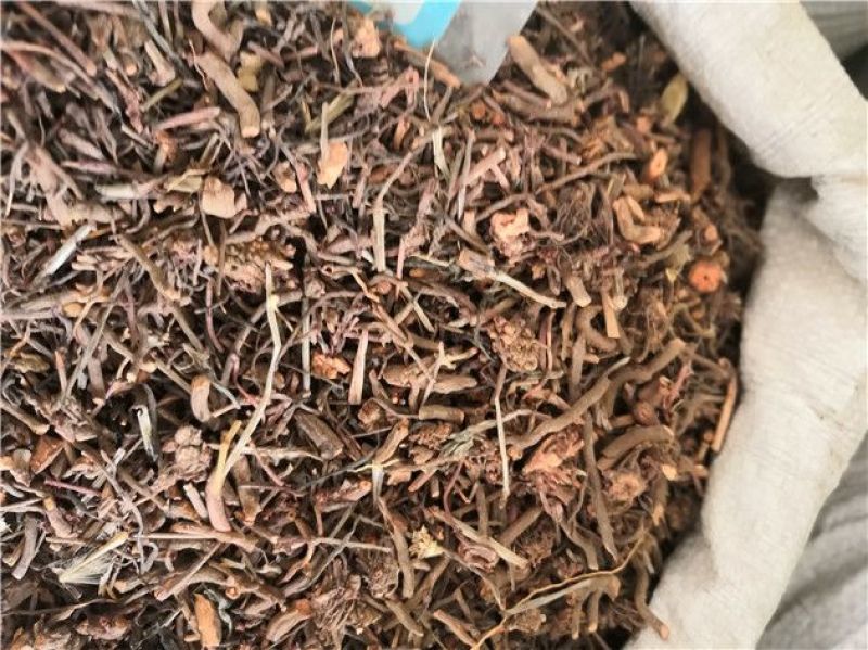 红茜草