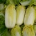 玲珑黄大白菜