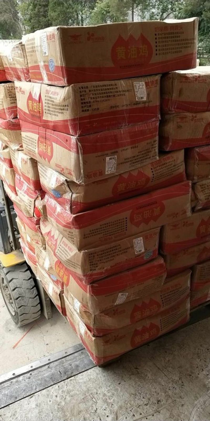 广东温氏佳味黄油鸡北京现货欢迎下单，