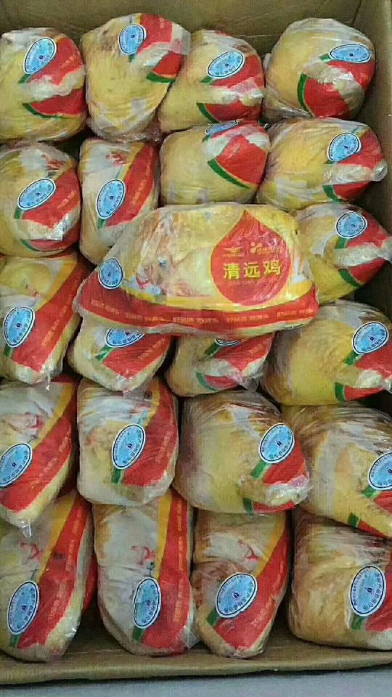 广东温氏佳味黄油鸡北京现货欢迎下单，