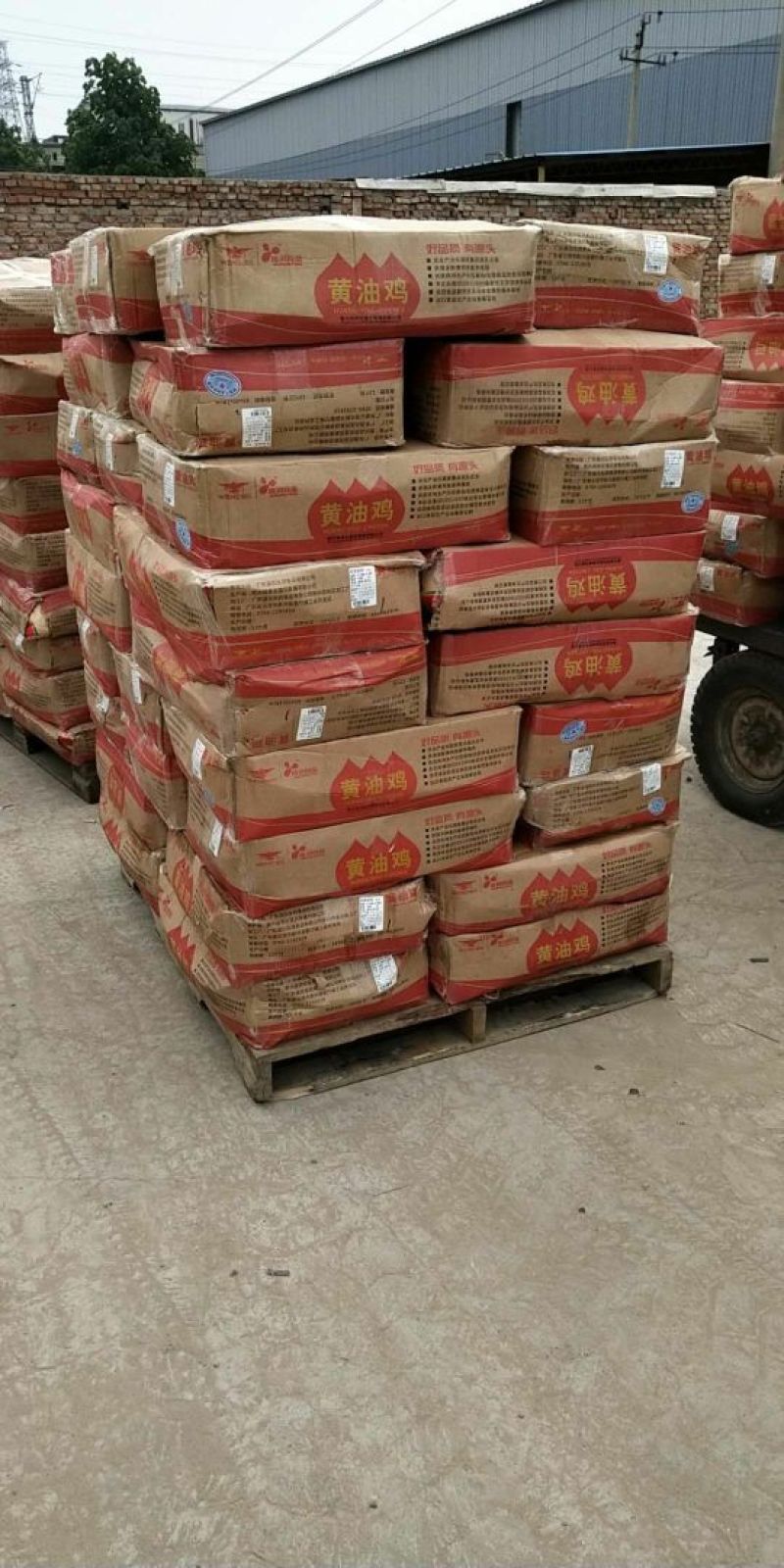 广东温氏佳味黄油鸡北京现货欢迎下单，